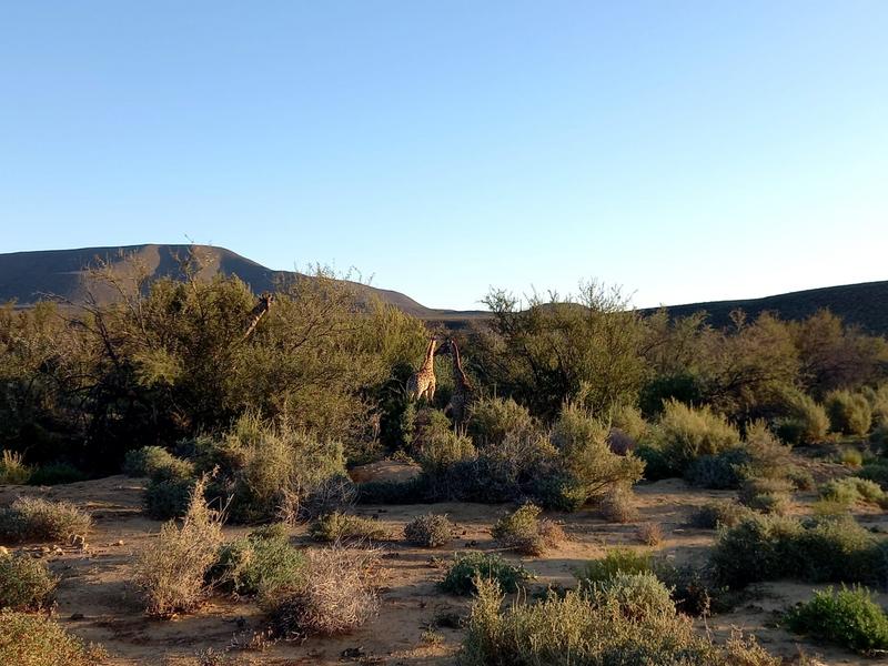 9 Bedroom Property for Sale in Sutherland Northern Cape